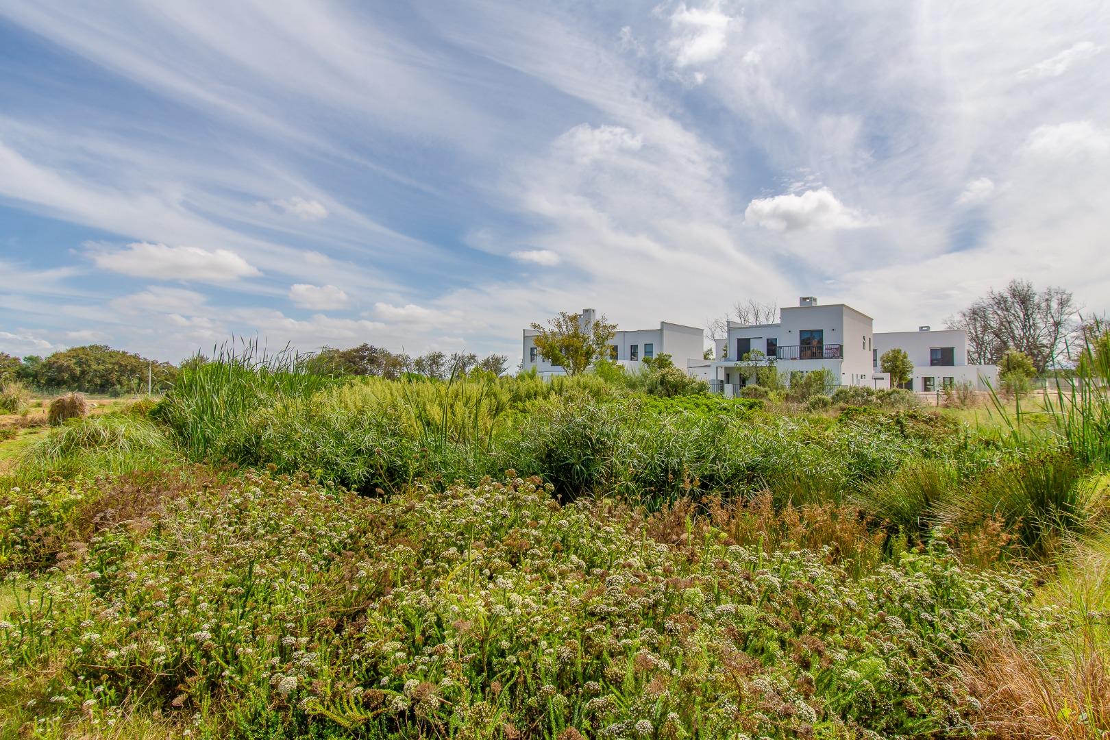 Vacant Land for Sale - Western Cape